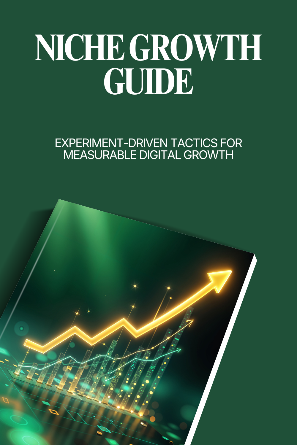 Niche Growth Guide